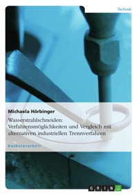 Wasserstrahlschneiden: Verfahrensmöglichkeiten und Vergleich mit alternativen industriellen Trennverfahren - Michaela Hörbinger - E-Book