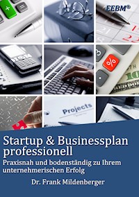 Startup & Businessplan professionell - Frank Mildenberger - E-Book