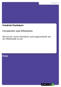Geometrie und Erbarmen - Friedrich  Flachsbart - E-Book