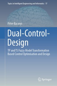 Dual-Control-Design - Péter Baranyi - E-Book