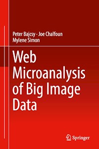 Web Microanalysis of Big Image Data - Peter Bajcsy - E-Book
