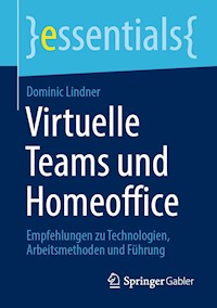 Virtuelle Teams und Homeoffice - Dominic Lindner - E-Book