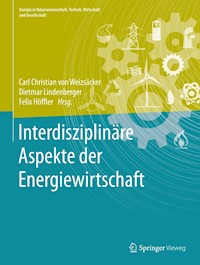 Interdisziplinäre Aspekte der Energiewirtschaft -  - E-Book