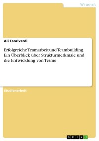 Erfolgreiche Teamarbeit und Teambuilding. Ein Überblick über Strukturmerkmale und die Entwicklung von Teams - Ali Tanriverdi - E-Book