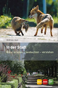 In der Stadt - Andreas Jaun - E-Book