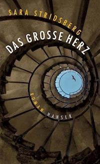 Das große Herz - Sara Stridsberg - E-Book