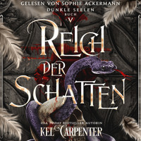 Dunkle Seelen 5 - Dark Fantasy Hörbuch - Kel Carpenter - Hörbuch