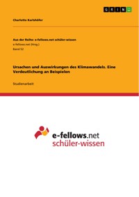 Ursachen und Auswirkungen des Klimawandels. Eine Verdeutlichung an Beispielen - Charlotte Karlshöfer - E-Book