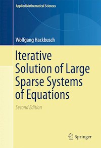 Iterative Solution of Large Sparse Systems of Equations - Wolfgang Hackbusch - E-Book