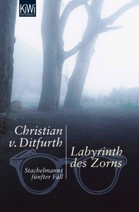 Labyrinth des Zorns - Christian von Ditfurth - E-Book