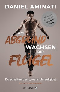 Am Abgrund wachsen dir Flügel - Daniel Aminati - E-Book