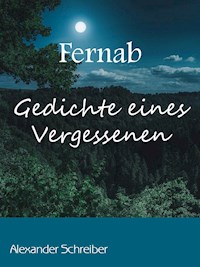 Fernab - Alexander Schreiber - E-Book