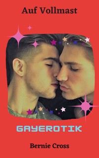 Auf Vollmast - Bernie Cross - E-Book