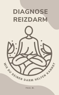 Diagnose Reizdarm - Paul M. - E-Book