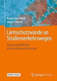 Lärmschutzwände an Straßenverkehrswegen - Rasim Onur Dölek - E-Book