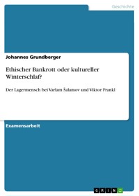Ethischer Bankrott oder kultureller Winterschlaf? - Johannes Grundberger - E-Book