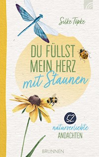 Du füllst mein Herz mit Staunen - Silke Töpke - E-Book