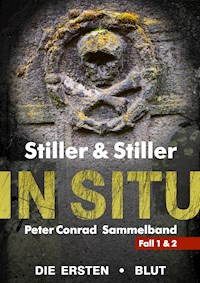 In Situ - Barry Stiller - E-Book