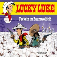 Fackeln im Baumwollfeld - Jul - Hörbuch