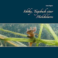 Ichthy, Tagebuch einer Molchslarve - Anne Sagner - E-Book