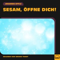 Sesam, öffne dich! - Johannes Epple - Hörbuch