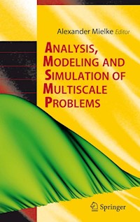 Analysis, Modeling and Simulation of Multiscale Problems -  - E-Book