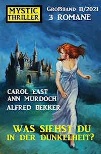 Was siehst du in der Dunkelheit? Mystic Thriller Großband 3 Romane 11/2021 - Alfred Bekker - E-Book