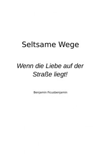 Seltsame Wege - Heinz Witter - E-Book