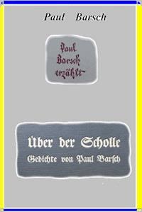 Paul Barsch erzählt - Paul Barsch - E-Book