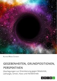 Gegebenheiten, Grundpositionen, Perspektiven - Alfons Maria Schmidt - E-Book