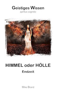 Himmel oder Hölle - Mike Brand - E-Book