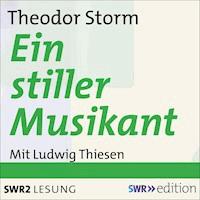 Ein stiller Musikant - Theodor Storm - Hörbuch