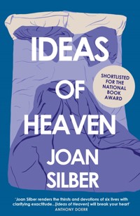 Ideas of Heaven - Joan Silber - E-Book