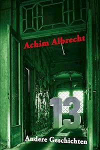 13 Andere Geschichten - Achim Albrecht - E-Book