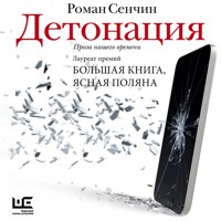 Детонация - Роман Сенчин - Hörbuch