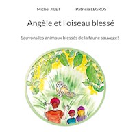 Angèle et l'oiseau blessé - Michel Jilet - E-Book