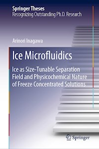 Ice Microfluidics - Arinori Inagawa - E-Book