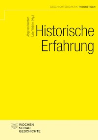 Historische Erfahrung -  - E-Book