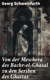 Von der Meschera des Bachr-el-Ghasāl zu den Seriben des Ghattās - Georg Schweinfurth - E-Book
