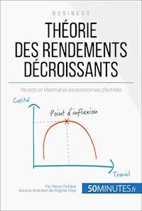 Théorie des rendements décroissants - Pierre Pichère - E-Book