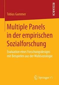 Multiple Panels in der empirischen Sozialforschung - Tobias Gummer - E-Book