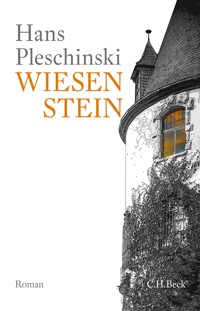 Wiesenstein - Hans Pleschinski - E-Book