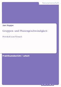 Gruppen- und Phasengeschwindigkeit - Jan Hoppe - E-Book