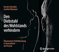 Den Diebstahl des Wohlstands verhindern - Kerstin Schneider - E-Book