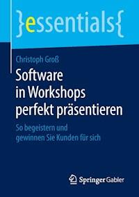 Software in Workshops perfekt präsentieren - Christoph Groß - E-Book