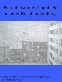 Ein unbekanntes Flugobjekt in einer Hochhaussiedlung - Mattis Lühmann - E-Book