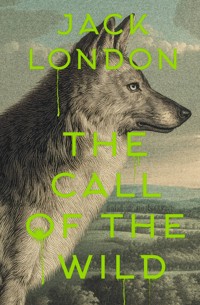 The Call of the Wild - Jack  London - E-Book