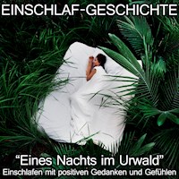 Einschlaf-Geschichte - Eines Nachts im Urwald - Raphael Kempermann - Hörbuch
