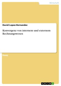 Konvergenz von internem und externem Rechnungswesen - David Lopez-Hernandez - E-Book