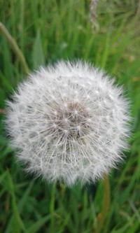 Deutschland 2.0 - Jannik Wöhl - E-Book